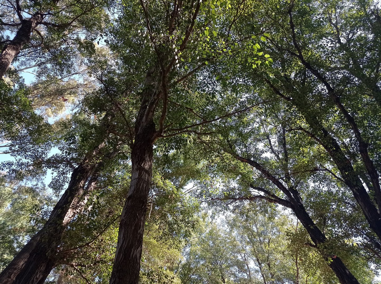 image Workshop focuses on forests and love