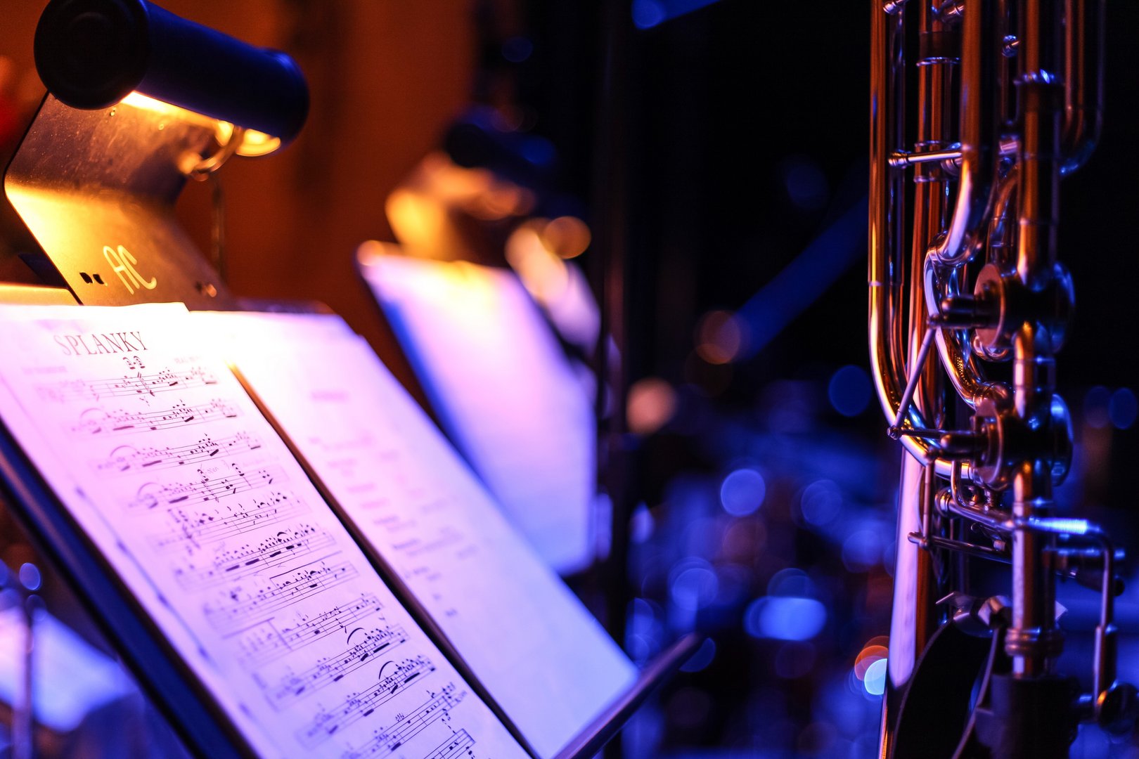 image Salsa, blues, jazz and more