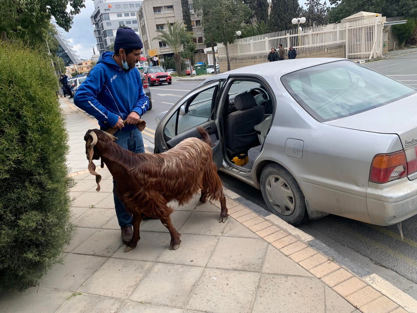 image Farmers and livestock protest rising prices in Nicosia (video)