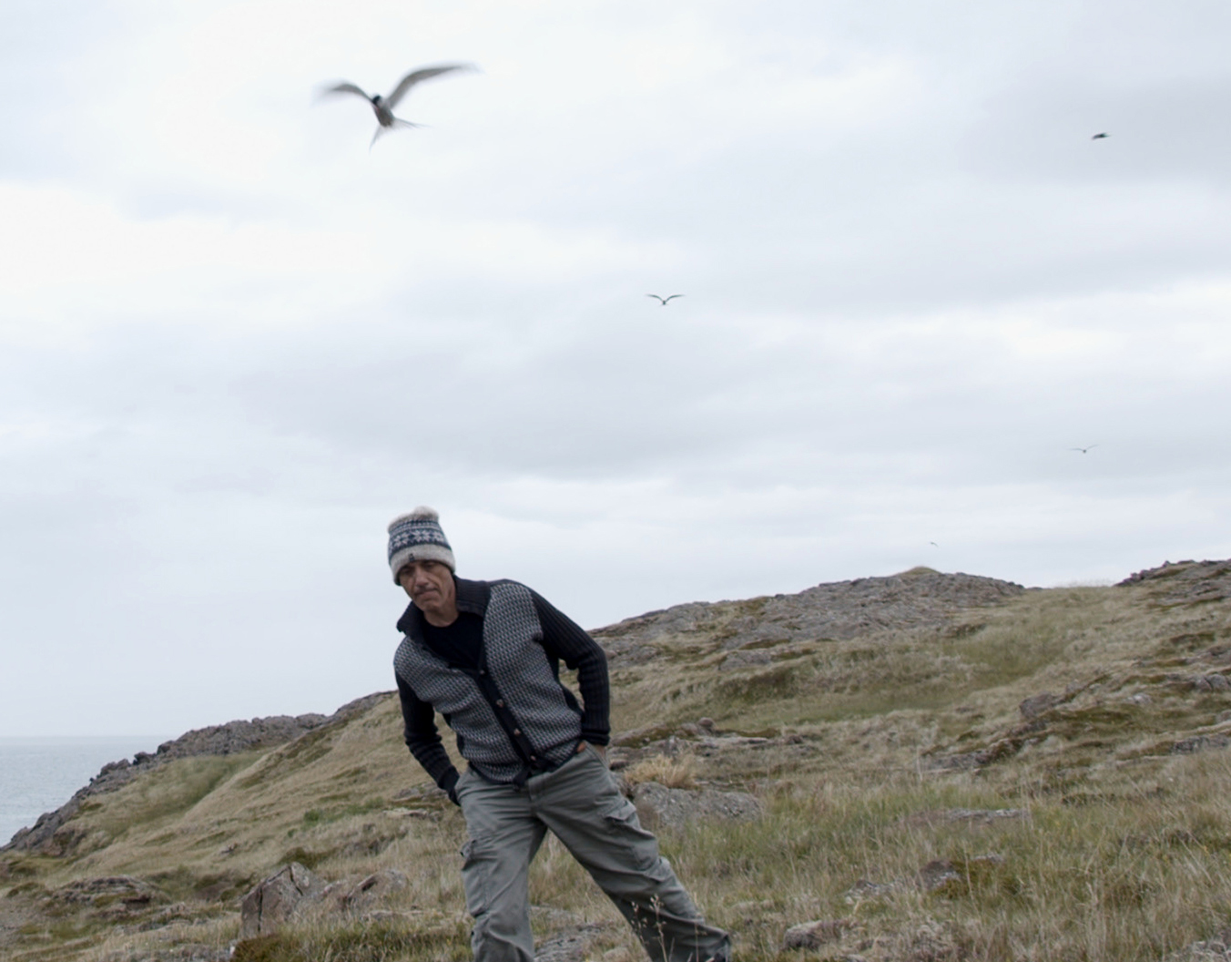 cover Therianthropes: video art, photography exhibition looks at man and nature