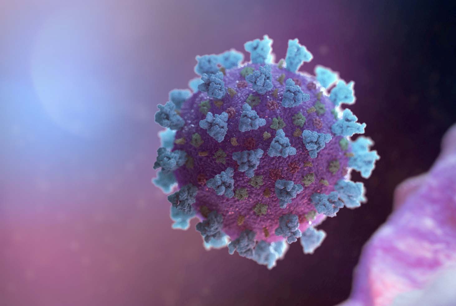 image Coronavirus: 1 death and over a 1,000 new cases in past week