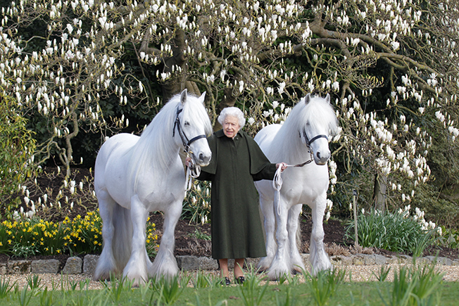 image Queen&#8217;s 96th birthday marked with gun salute and new photograph