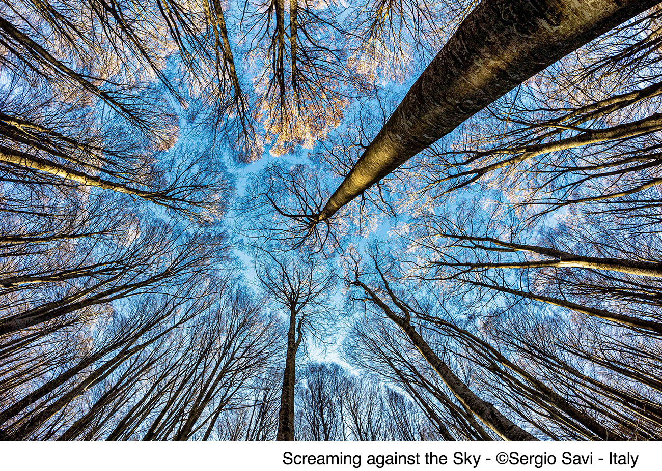 image GuruShots hosts double exhibition in Cyprus