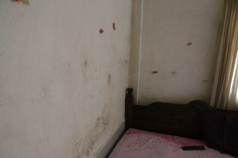 The walls of the flats are striped with mildew