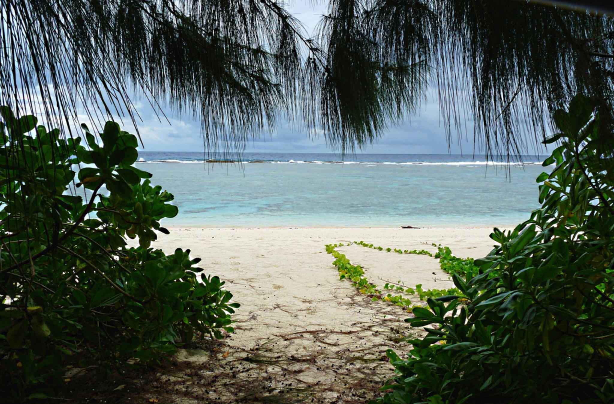 image What’s Eaten Where: Guam