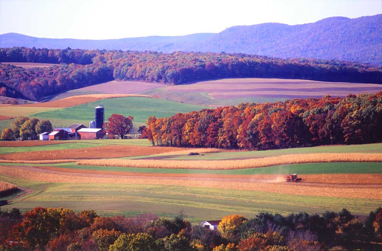 image What’s Eaten Where: Pennsylvania