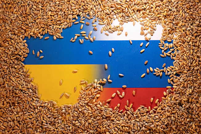 image Turkey struggles to push Russia, Ukraine into grain deal to avert food crisis