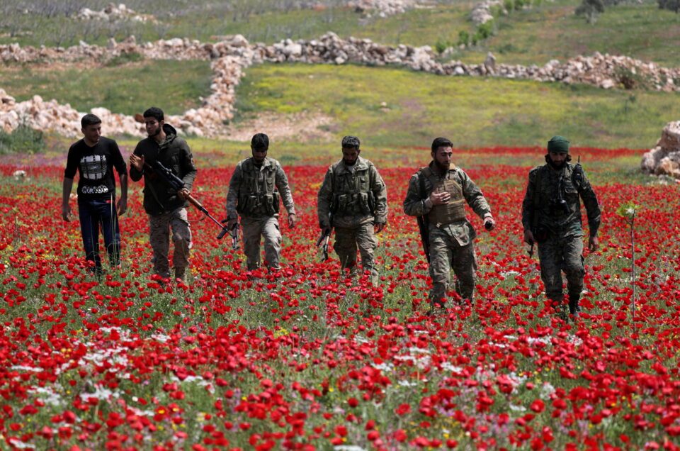 file photo: turkey backed syrian rebel fighters walk in a field of flowers in jabal al zawiya