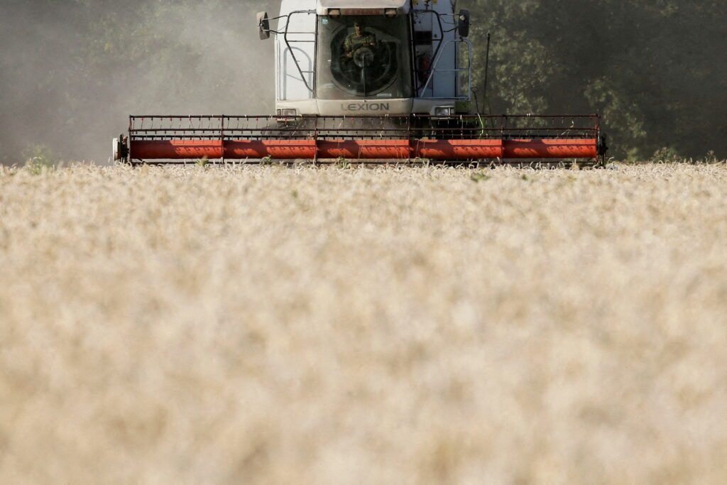 file photo: an employee operates a combine as he harvests wheat in a field in kyiv region