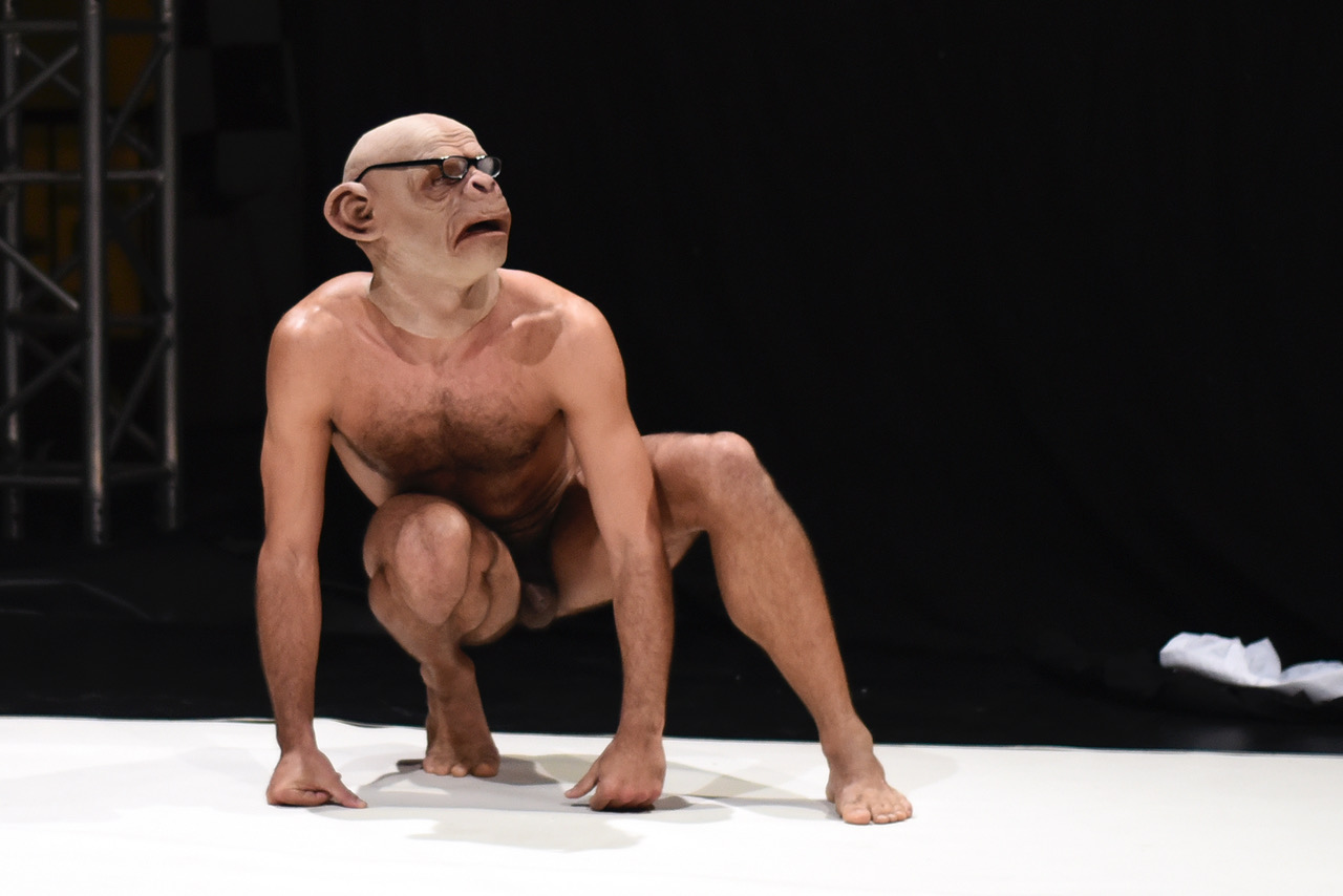 cover Buffer Fringe Performing Arts Festival returns for 9th edition