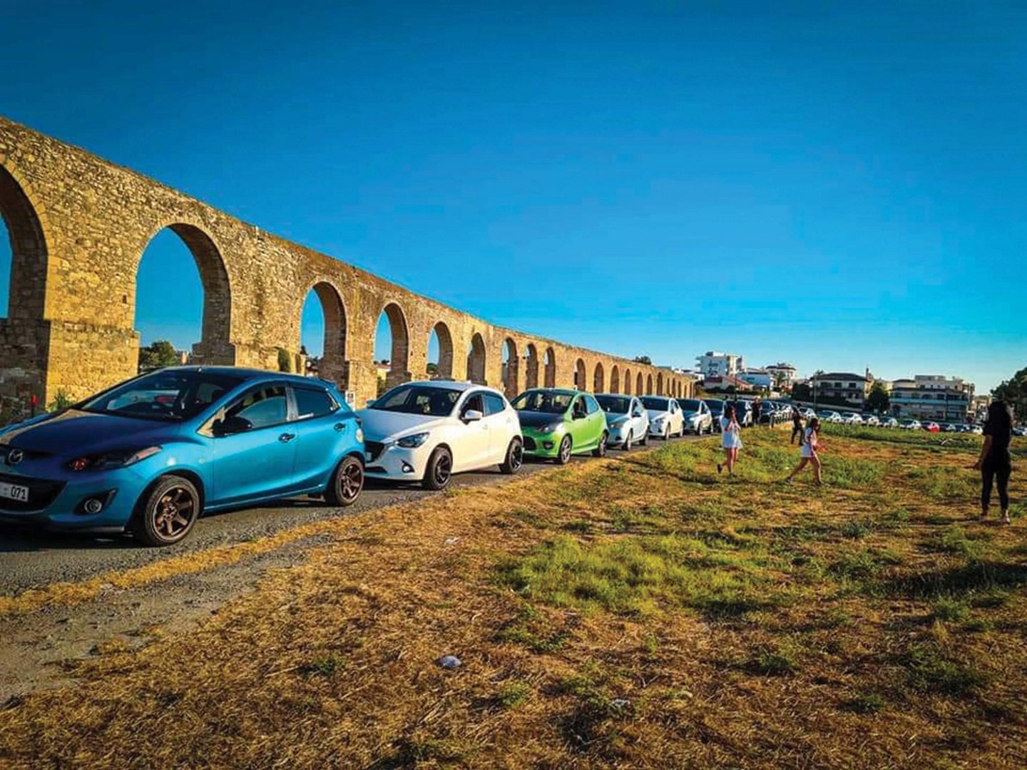 image For love of car and country
