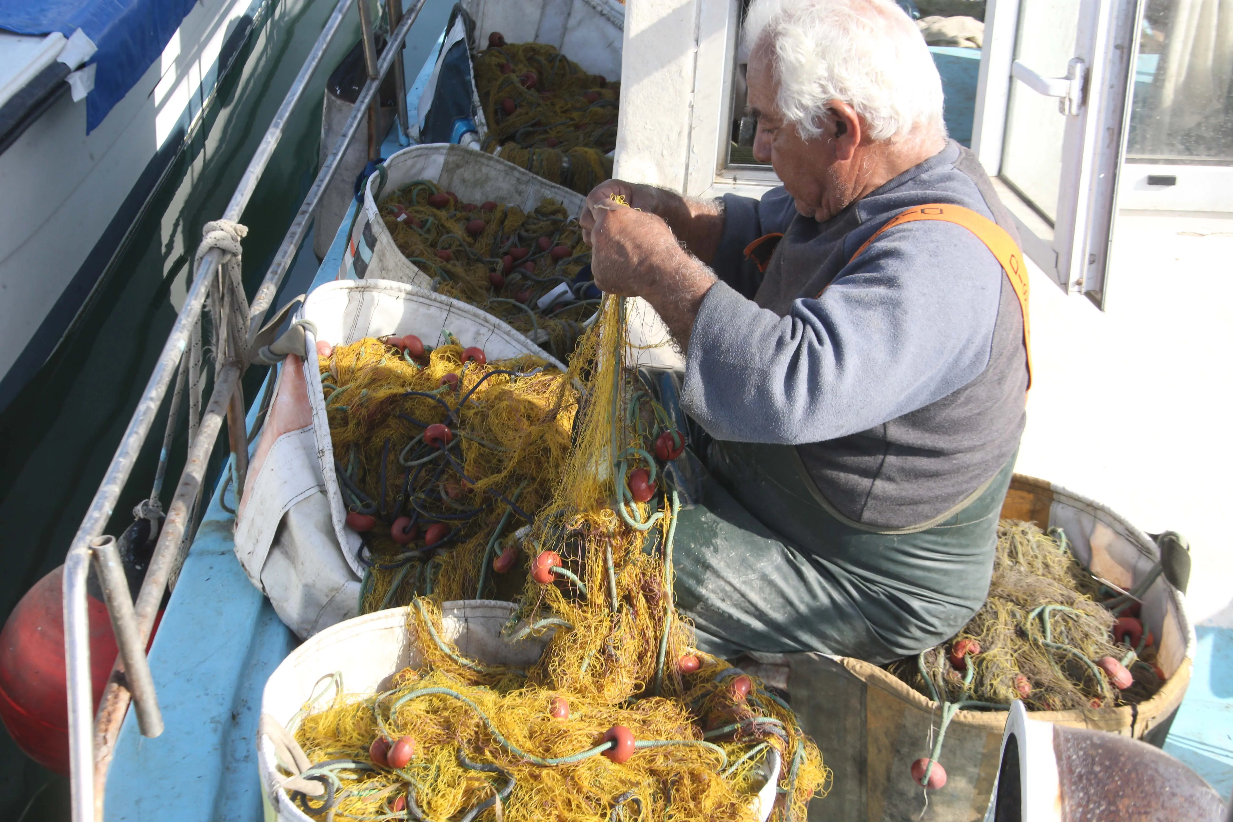 image Fish farm leak sparks illegal trade fears