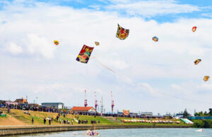 feature3 as part of the celebrations, traditional japanese kites like those of the shirone kite festival will be flown over the buffer zone