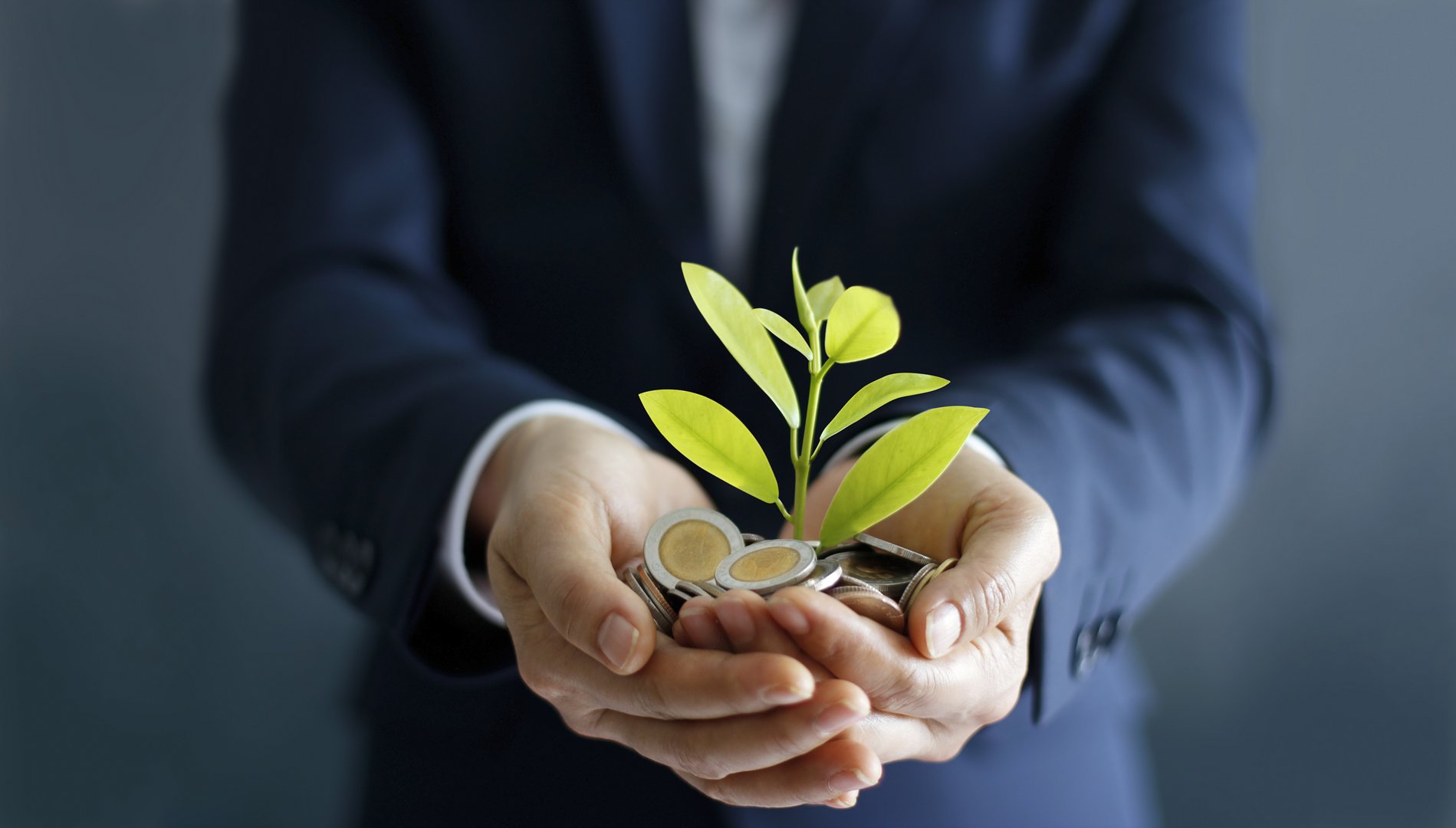 image The role of Financial Services in Society