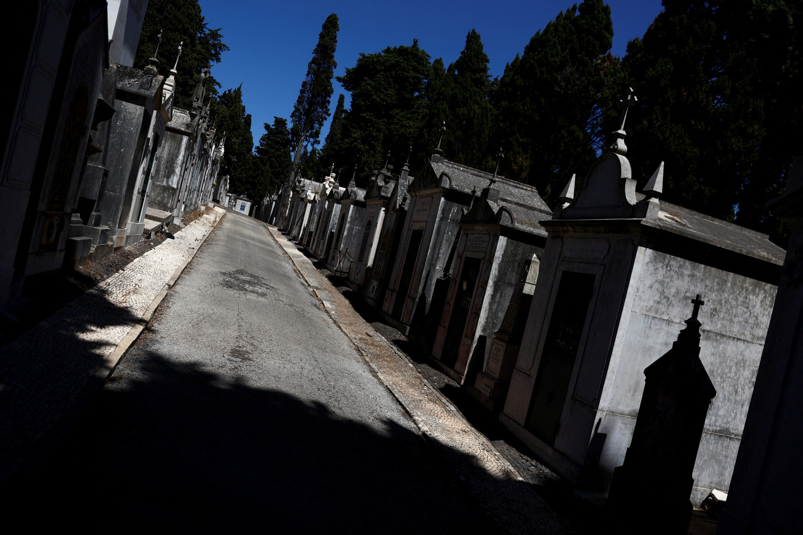 Portugal regista mais de 1.000 mortes relacionadas com o calor