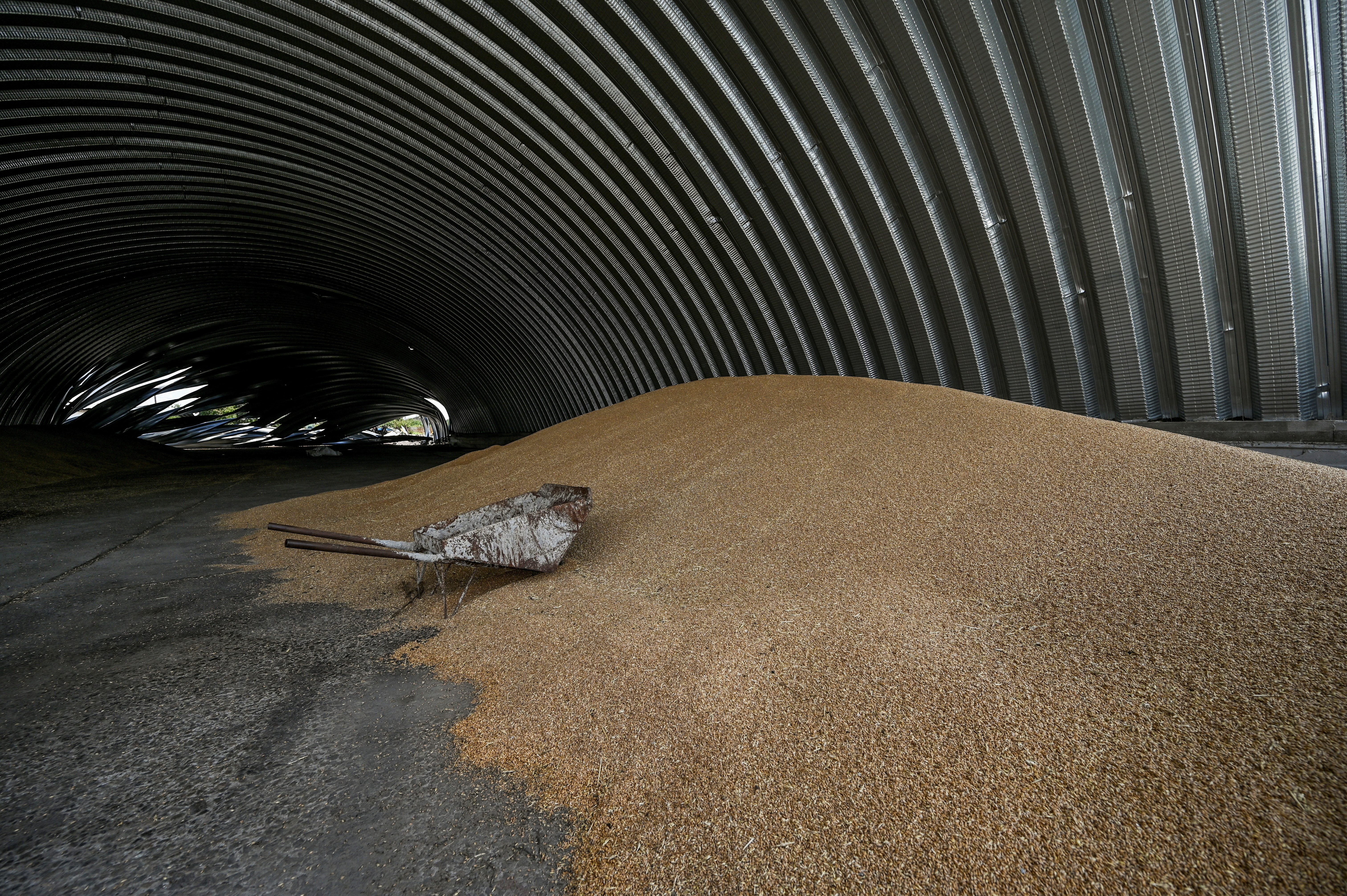 image Polish government bans grain and food imports from Ukraine