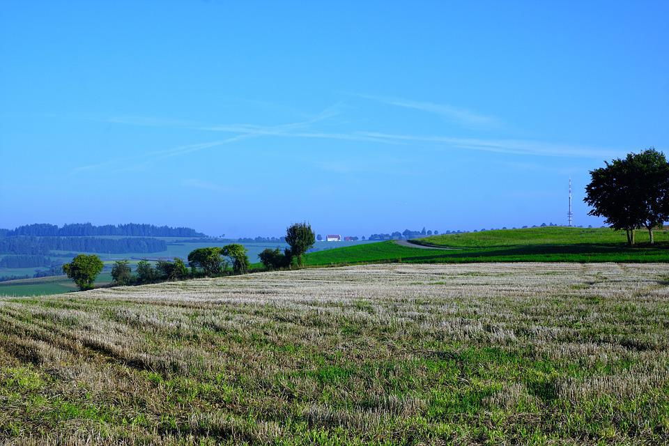 EU Plans To Ease Crop Rotation Rules As Global Food Risks Mount 