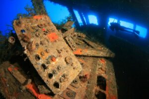 feature diving the zenobia wreck