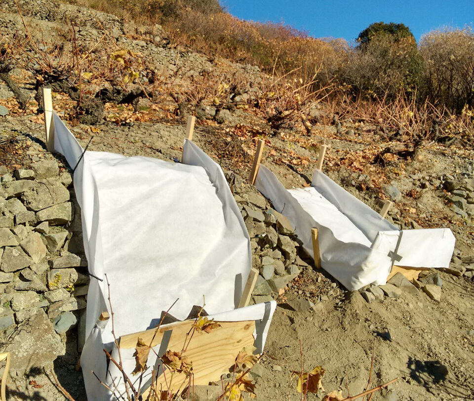 feature iole sediment traps for measuring erosion in cyprus