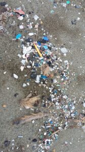 feature iole microplastics on the beach