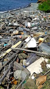 feature iole plastic bottles and other items lay strewn on the shore
