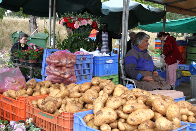 image Cypriot agricultural products label bill ready soon