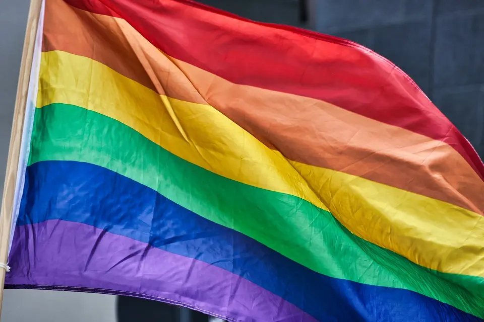 image Christou defends Elam’s opposition to same sex adoption during televised debate