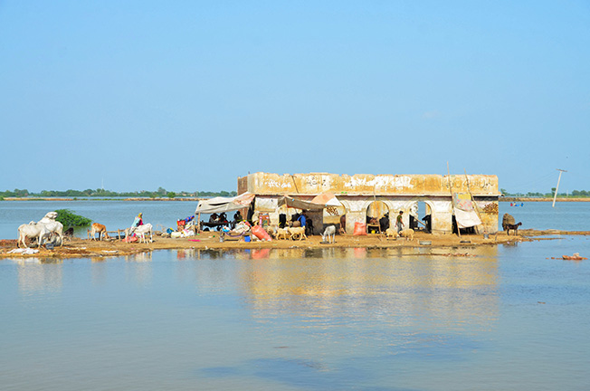 image Pakistan floods death toll rises to 1,265