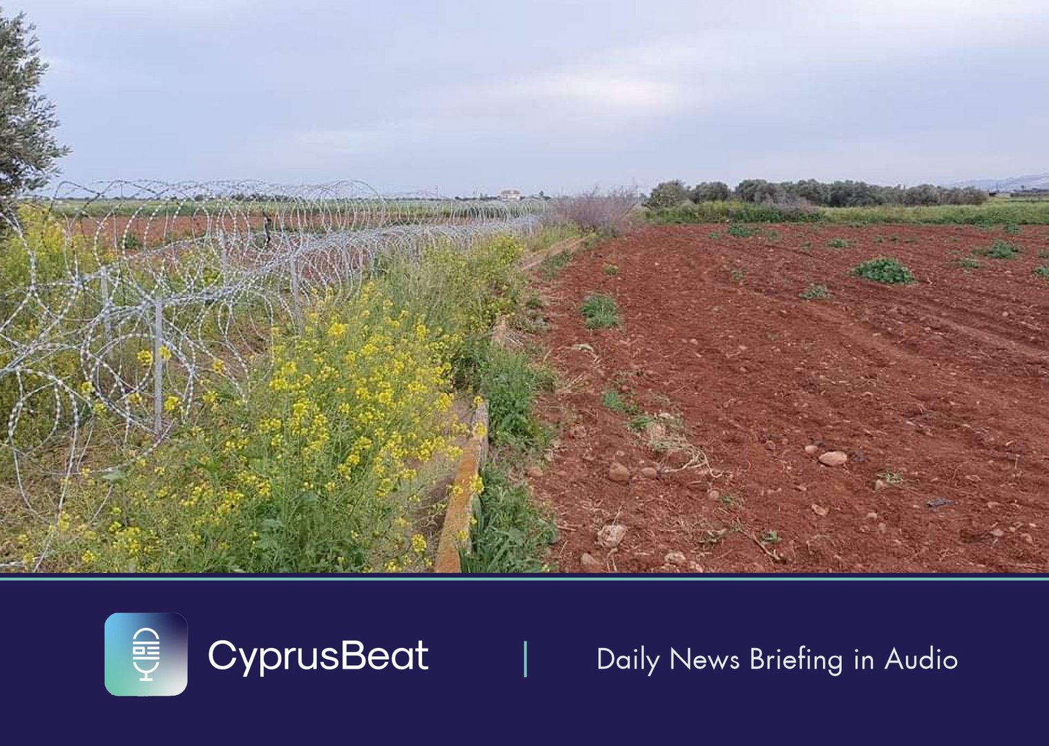 image Daily News Briefing