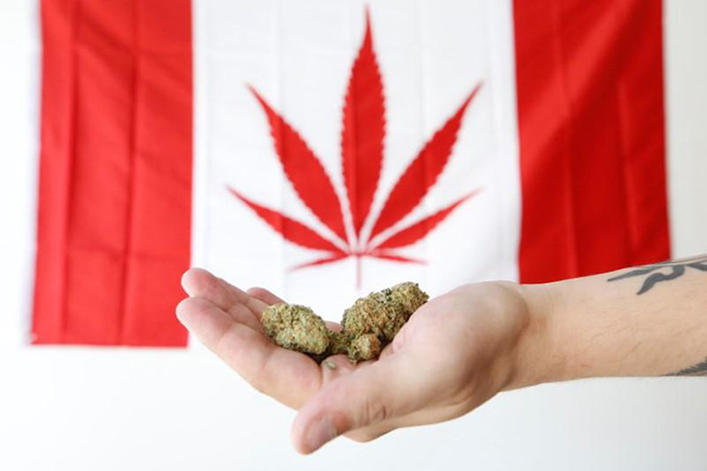image Canada to review impact of cannabis legalisation four years on