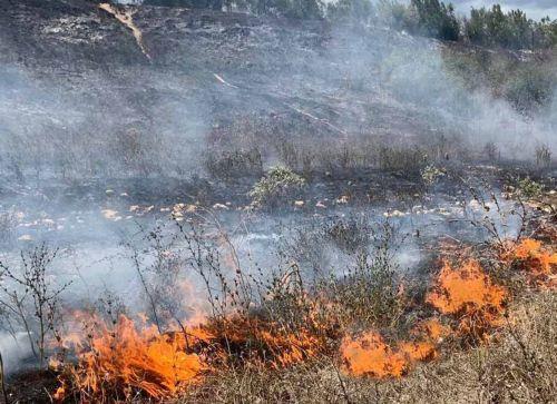 image National guard accidentally sets fire to fifty hectares of land