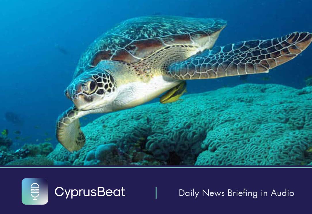 image Daily News Briefing