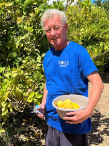 feature gin ron collecting fresh cut lemons from his orchard