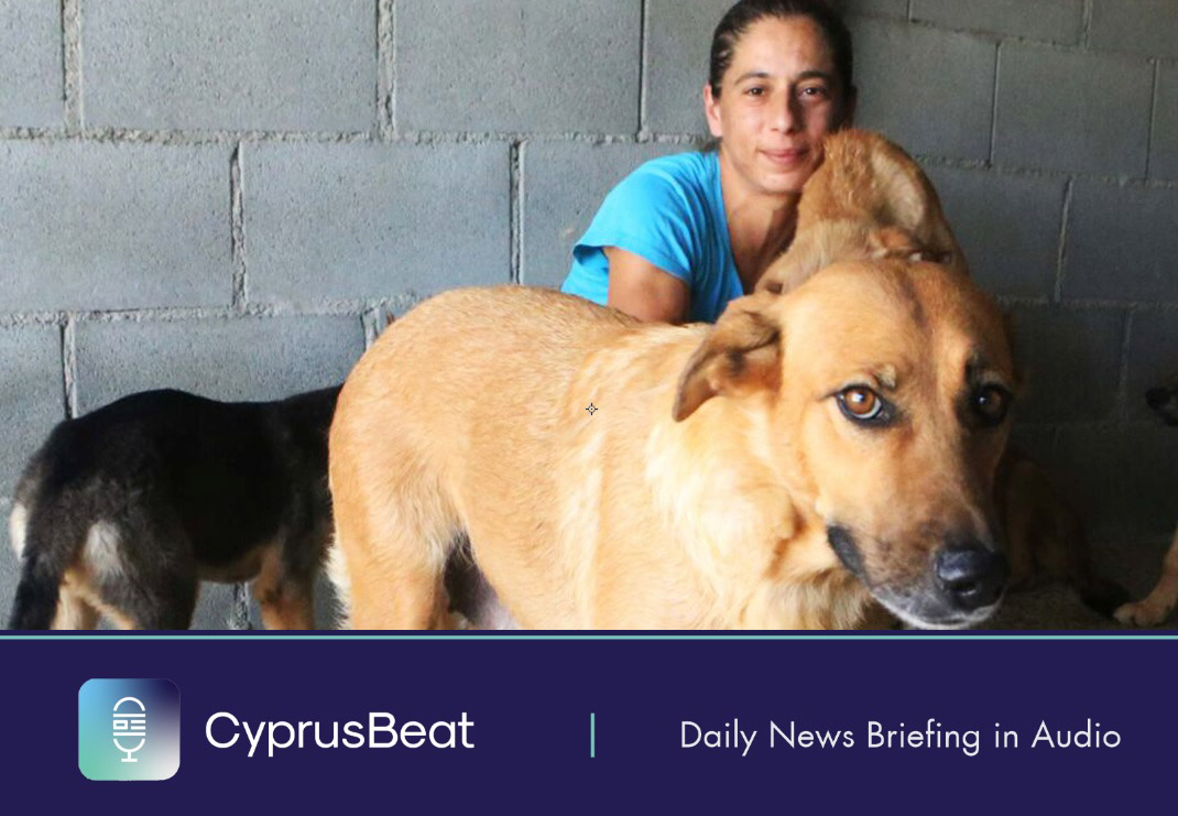 image Daily News Briefing
