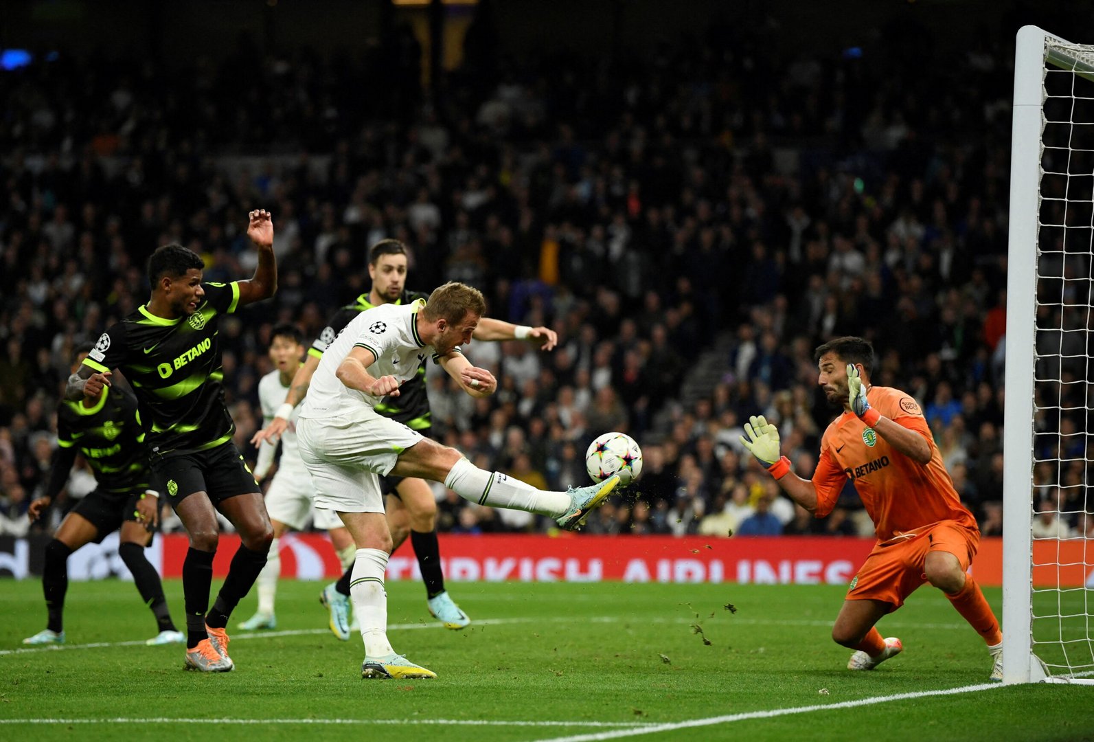 champions league group d tottenham hotspur v sporting cp