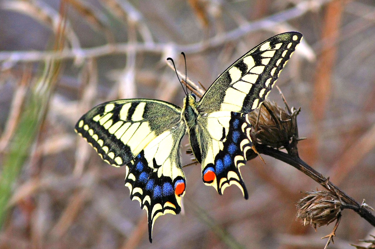 image Education at heart of environmental awareness