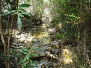 travel an amargeti nature trail