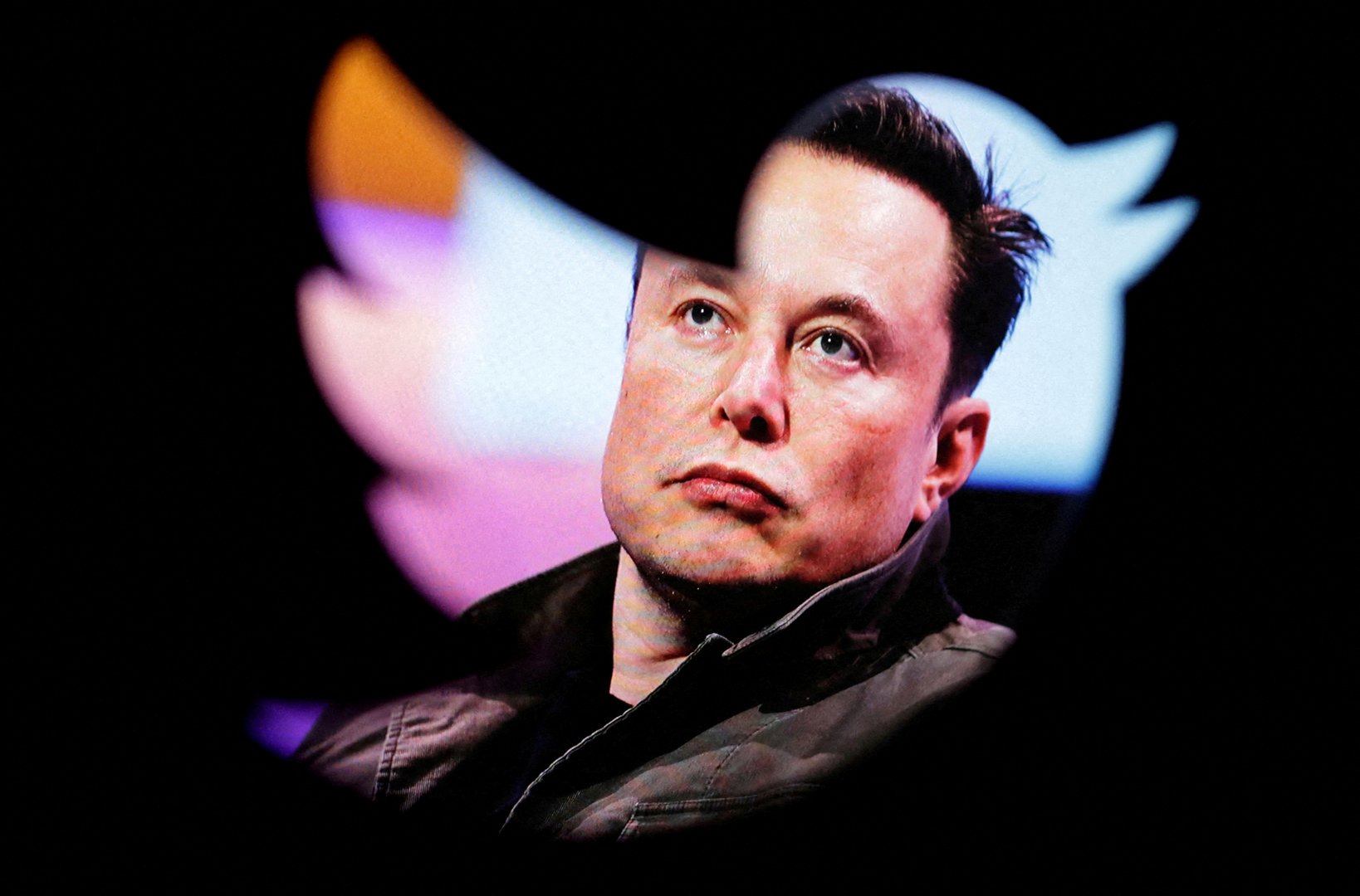 image Germany tells Musk it expects Twitter to fight disinformation