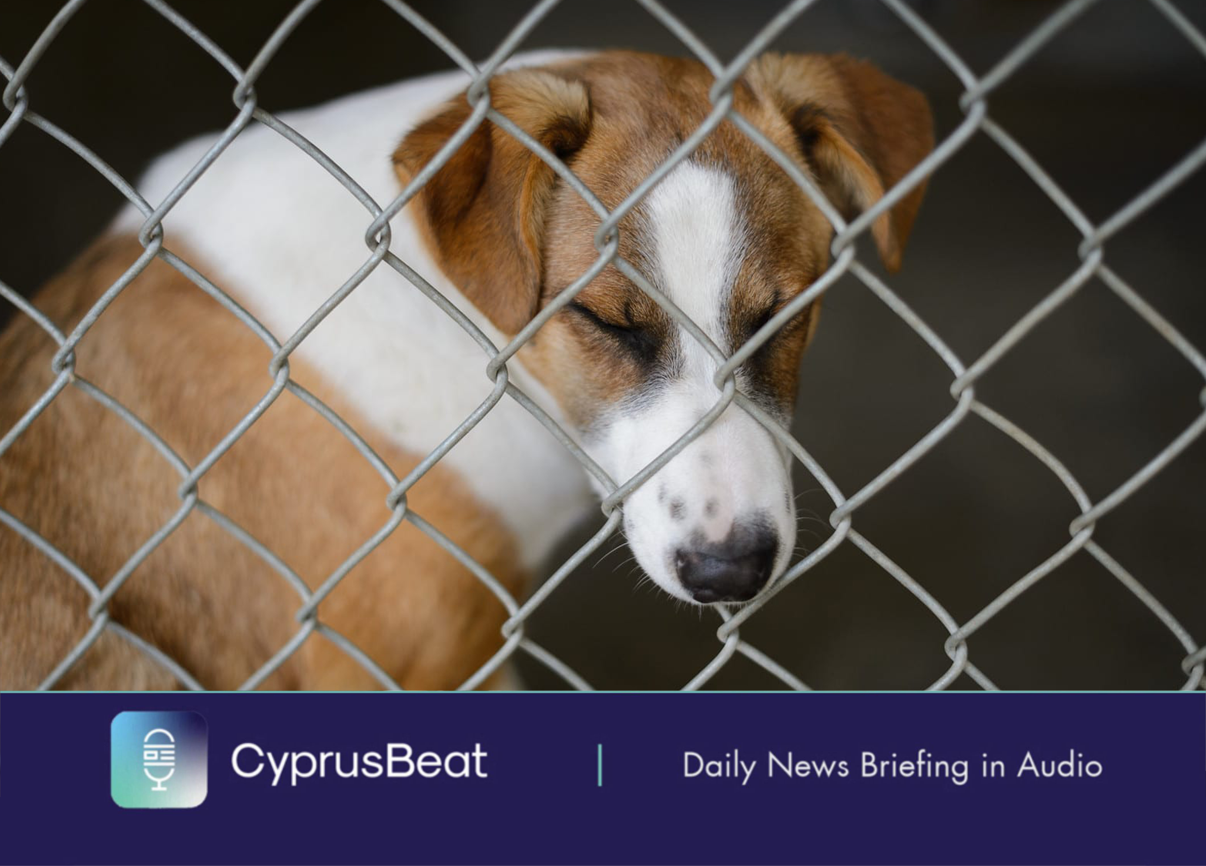 image Daily News Briefing