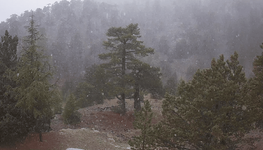 image Light snow observed in Troodos mountains