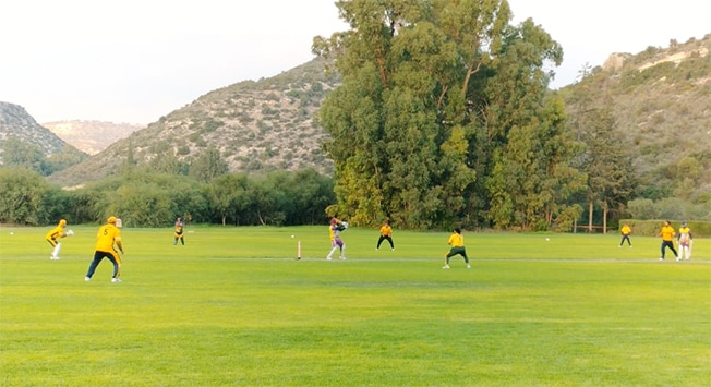 image Moufflons qualify for final of 40-over cup