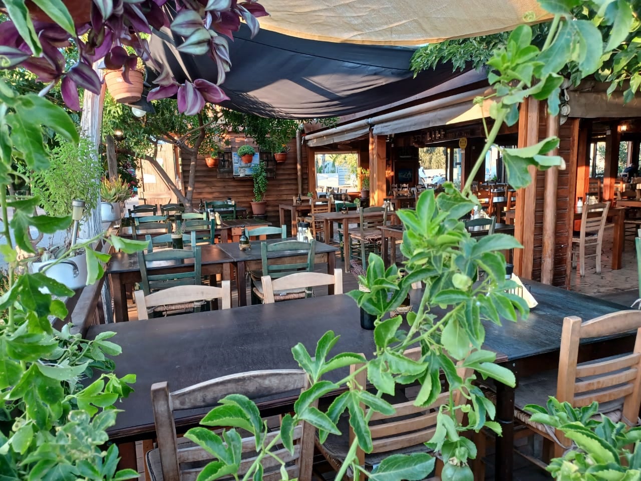image Restaurant review: Costas Koloni Tavern, Paphos