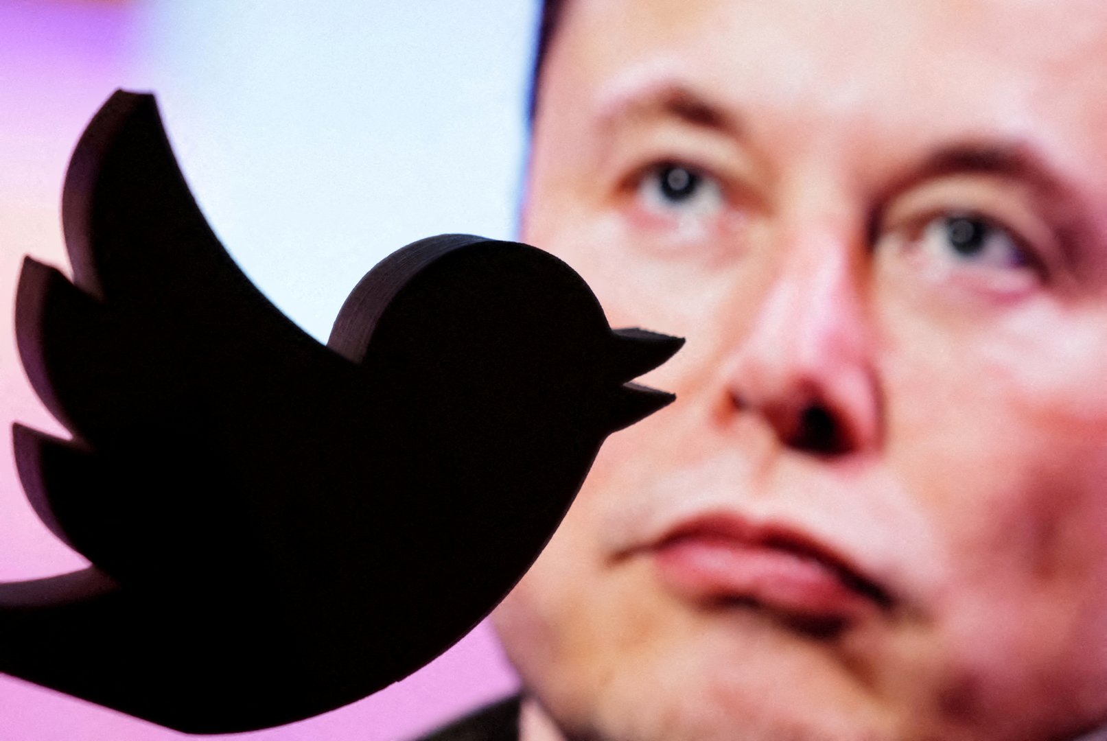 image Elon Musk says Twitter to change logo, adieu to &#8216;all the birds&#8217;