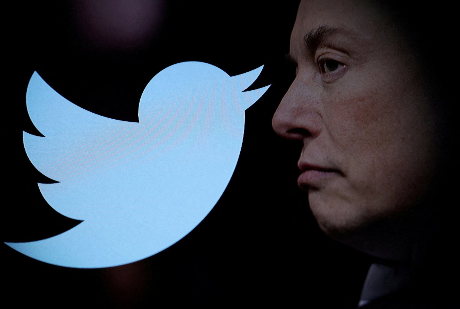 image Twitter&#8217;s top global policy official departs as layoffs continue