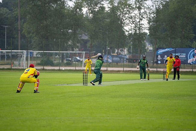 image Double century stand sees Lions through