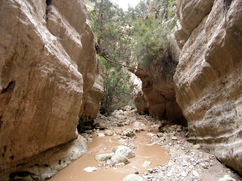 cover Avakas gorge trail closed due to heavy rain