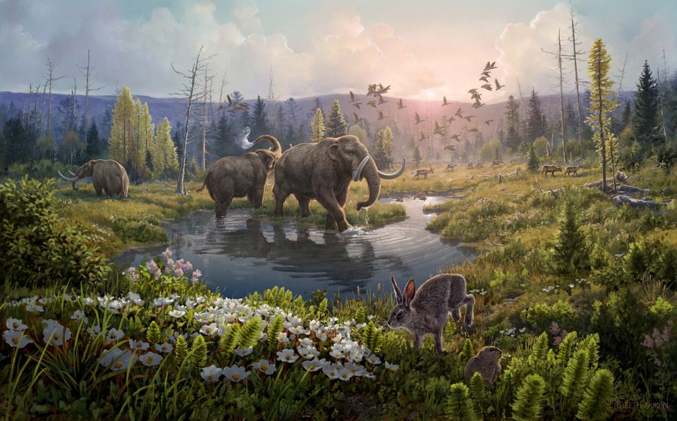 image Oldest DNA on record – 2 million years – reveals Greenland’s lost world