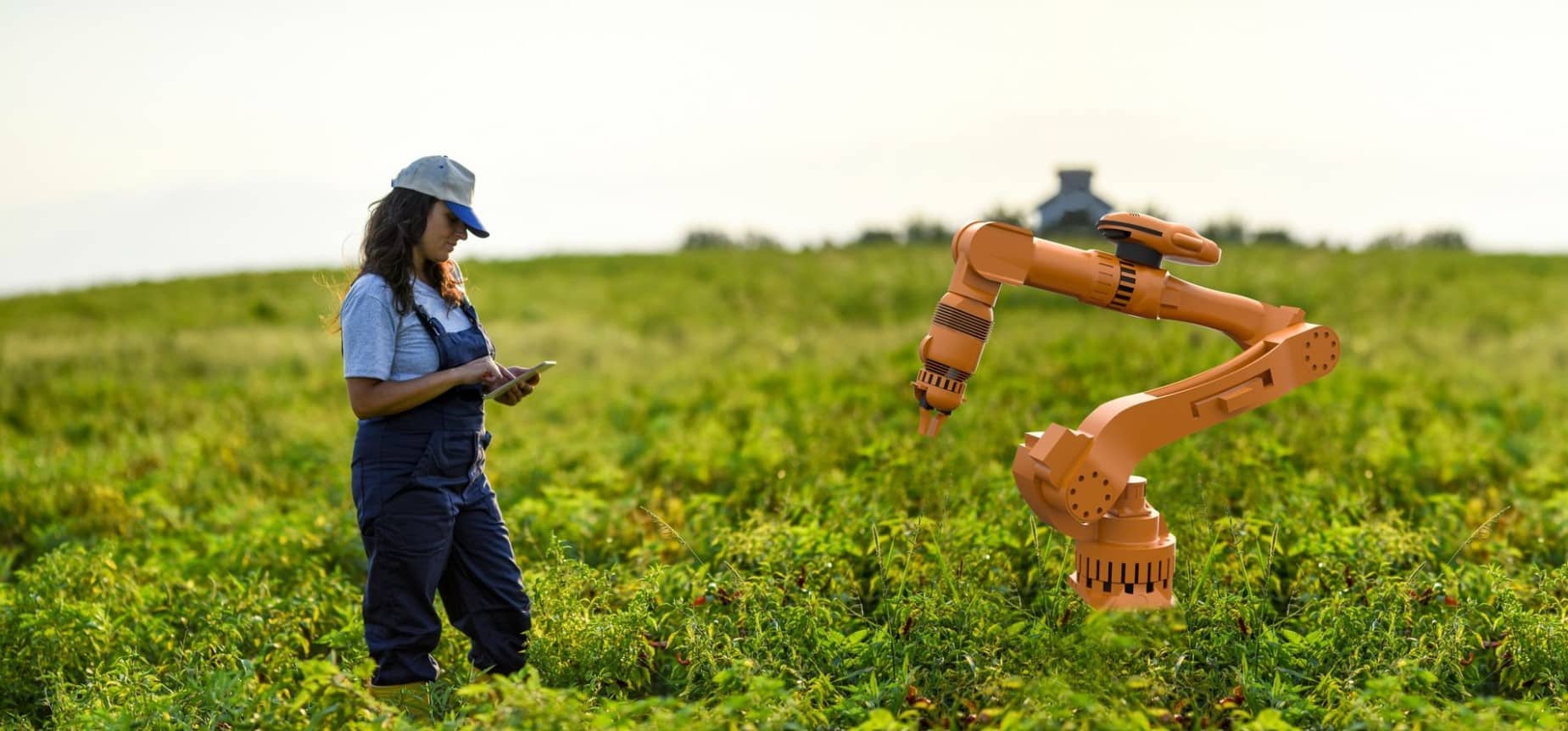 Futuristic Fields: Europe’s Farm Industry On Cusp Of Robot Revolution ...