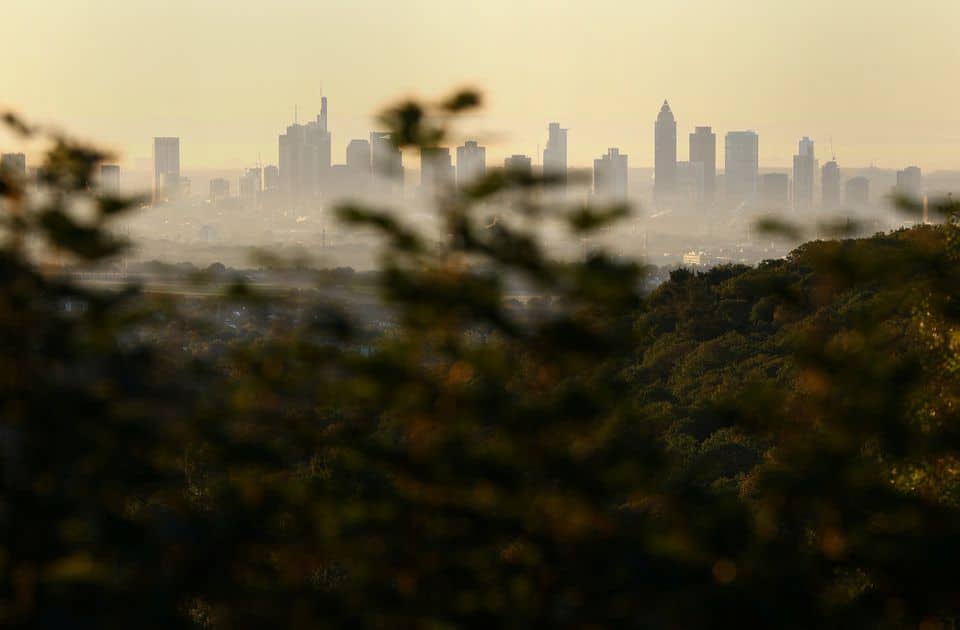 image German business morale rises more than expected in December