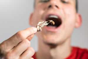 psilocybin,psychedelic,microdosing.,magic,mushrooms,being,eaten,by,a,casual